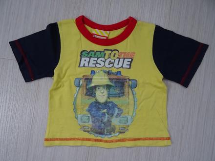 Tičko s požárníkem samem vel. 18 m, 86