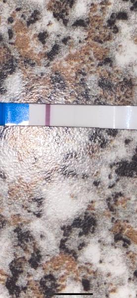 Může těhotenský test ukázat dvě čárky po 12 dnech?