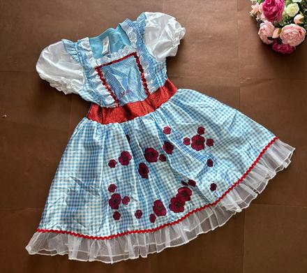 An2/ kostym dorotka ze země oz - v.5/6 let, 