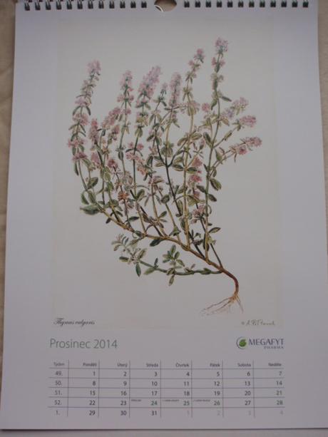Kalendář nástěnný-na stěnu 2014, 