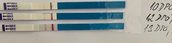 Prosperující těhotenství po užívání Utrogestanu? Diskuze a zkušenosti