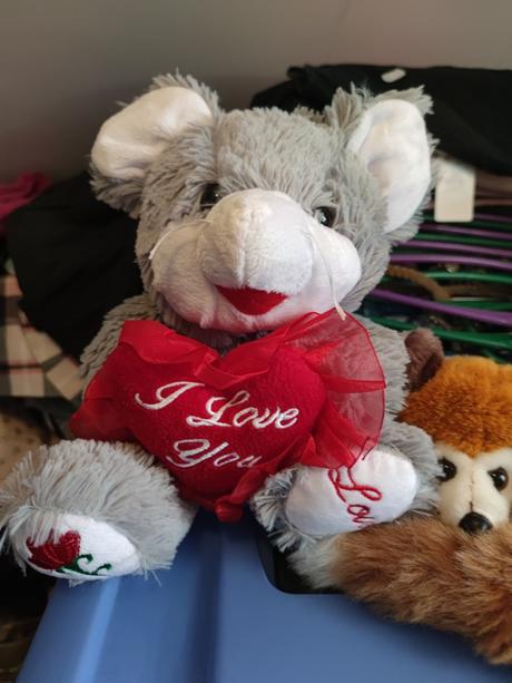 Plyšová myška větší i love you valentýn, 
