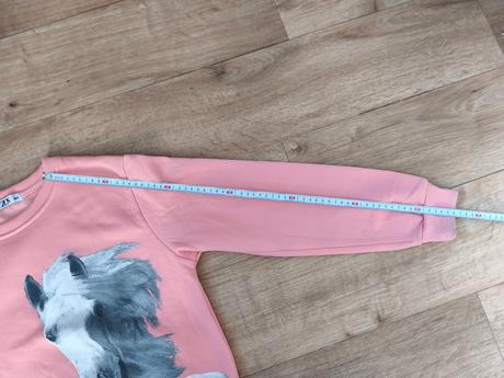 Mikina s koněm, 164