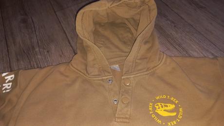 Mikina dino, pepco,134