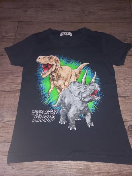 Tričko s dinosaury, 134