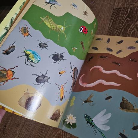 Velká samolepková kniha broučci, motýli a další, 