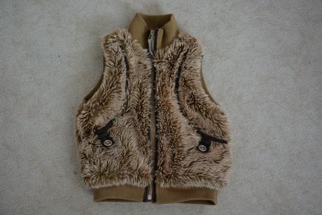 Vesta chlupatka, next,128