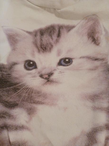 Kočičková mikina h&m 110/116, h&m,116