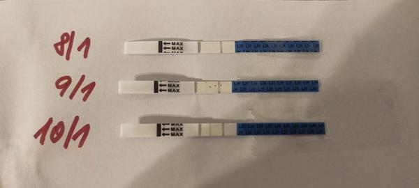 Ovu testy. Kdy začít se snažením po embryotransferu?