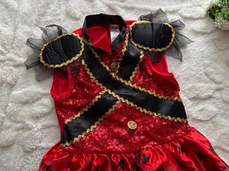 An15/ kostým pricipalka - v.5/5 let, 