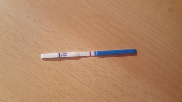 Je tam čárka nebo ne?