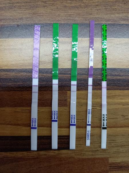 🤗 Prosím o pomoc. Kdy bude podle Vás ovulace? 🙈