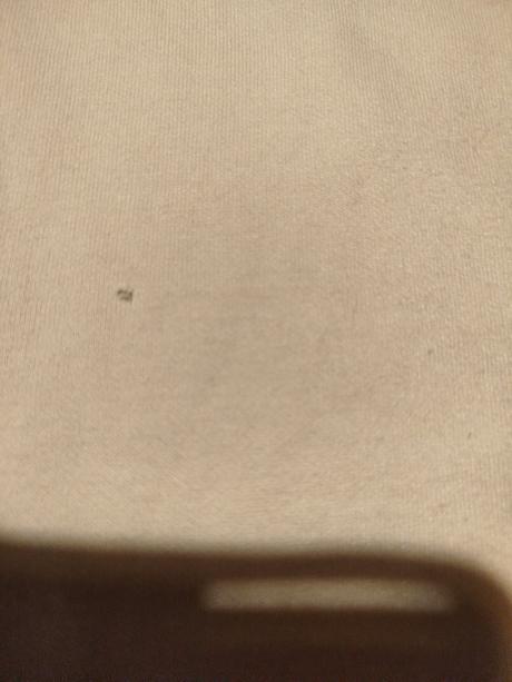 Tepláky zn. primark vel.146, primark,146