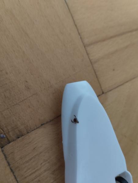 Co dělat, když objevíte záhadnou věc v oblečení?