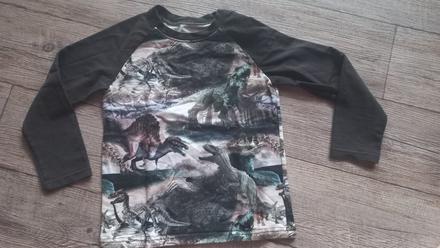 Tričko s dinosaury, 128