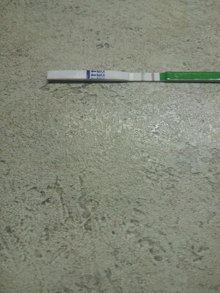 Pozitivní ovulační test 29. DC?