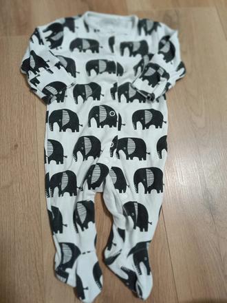 Overal se slony 62 next, next,62