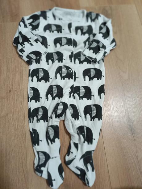 Overal se slony 62 next, next,62