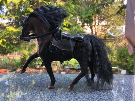 Cerno-hnedy kun s cernou hrivou,