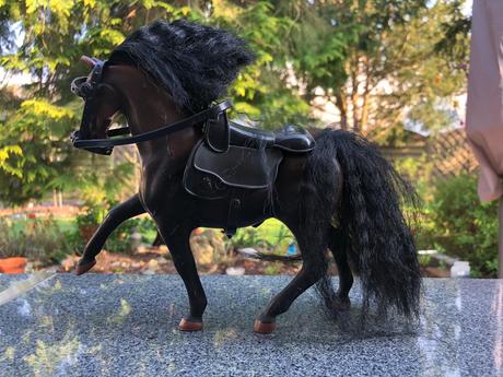 Cerno-hnedy kun s cernou hrivou,