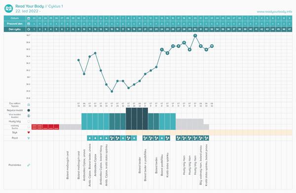 Klesne ceny? Diskutujme o možnostech a predikcích
