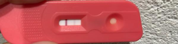 Porodí zkušenosti s HCG a Clostilbegytem?