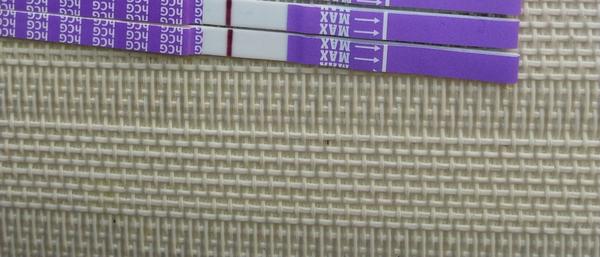 Je test z ranní moči spolehlivý? Odpovědi a zkušenosti.