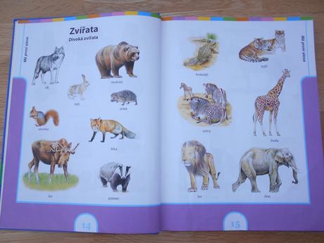 Velká kniha předškoláka a malého školáka,