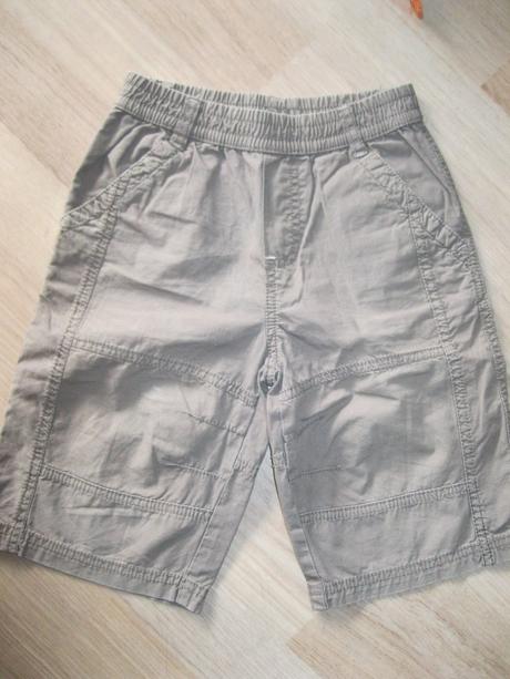 Kratasy, palomino,116