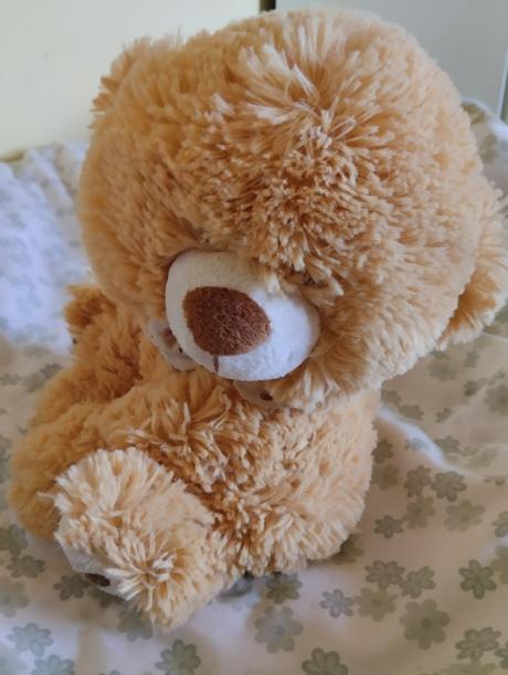 Plyšový medvídek, 