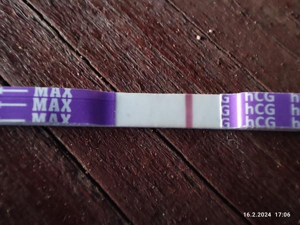 Vidím tam rysku nebo je to jen optický klam?