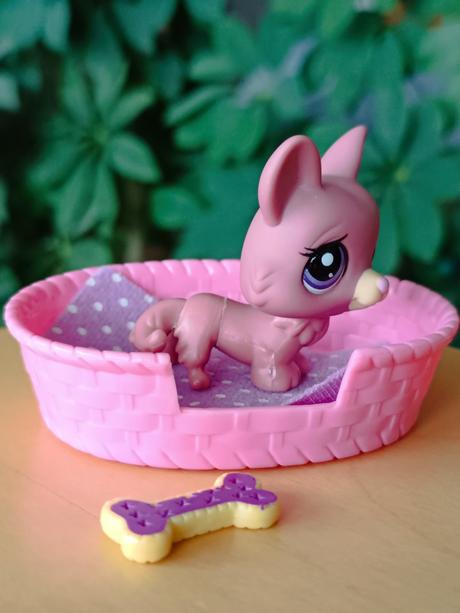 Lps pejsek + pelíšek + deka + kost,