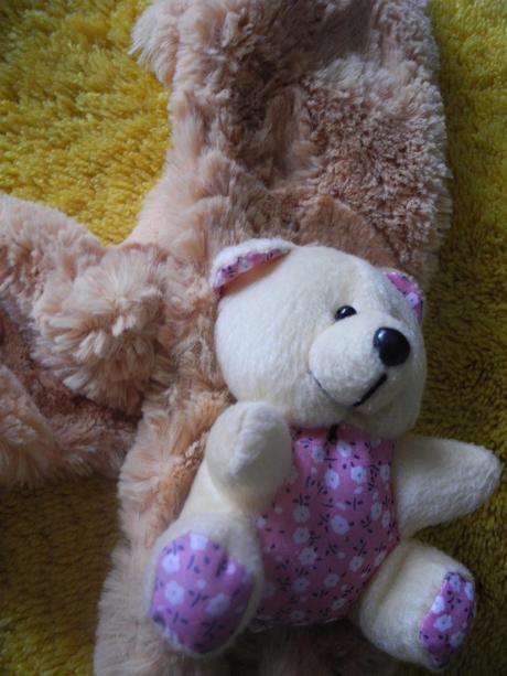 Šála s medvídkem, 