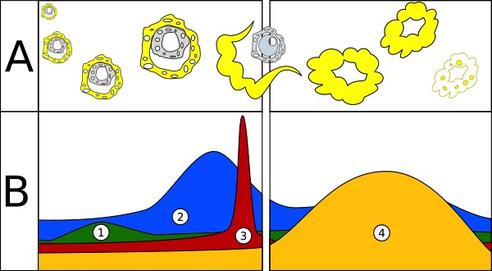 Funkce folitropinu v ženském těle