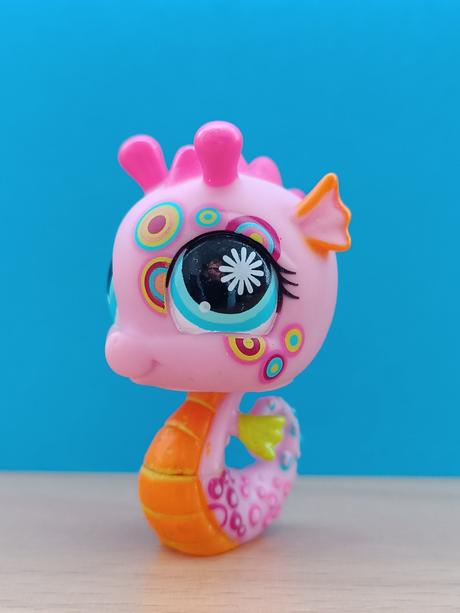 Lps mořský koník zdobený,