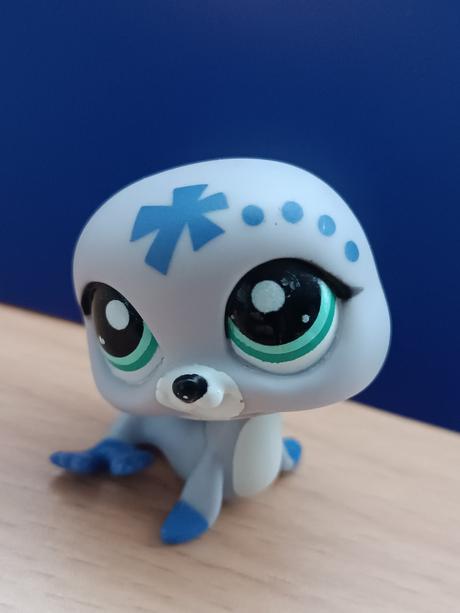 Lps tuleň / lachtánek zdobený, 