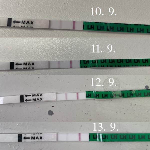 Proběhla ovulace po vysazení antikoncepce?