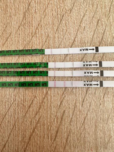 Je můj ovulační test pozitivní?