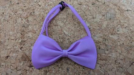 E273 dětský motýlek, 