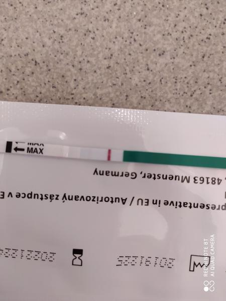 Zkušenost z TT Pepino. Mohu mu věřit?