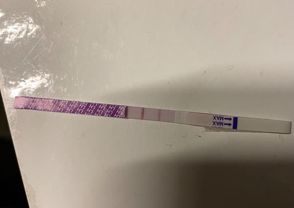 Jak poznat ovulaci při silných křečích v podbřišku?