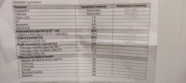 Co znamená teratozoospermia ve výsledcích spermiogramu?