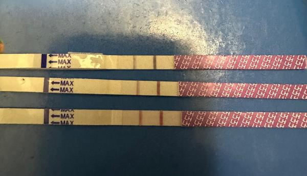 Je ovulační test pozitivní? Jak správně interpretovat výsledky?