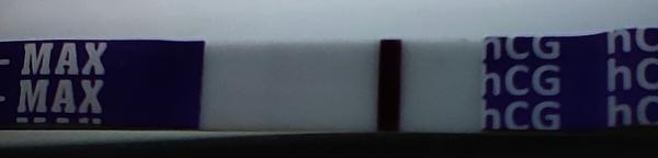 Mohu být těhotná i přes krátký cyklus?