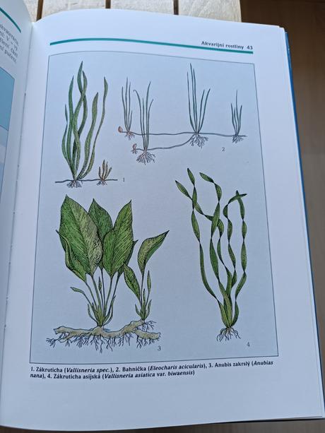 Kniha sladkovodní akvárium - hans j. mayland,