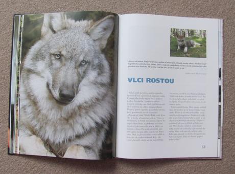 Bráškové - prázdniny s vlčaty, 