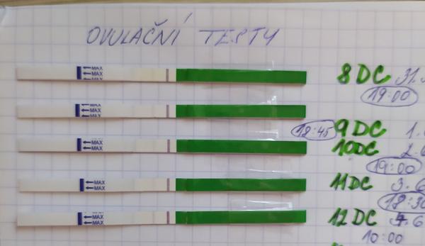 Ovulace. Blíží se?