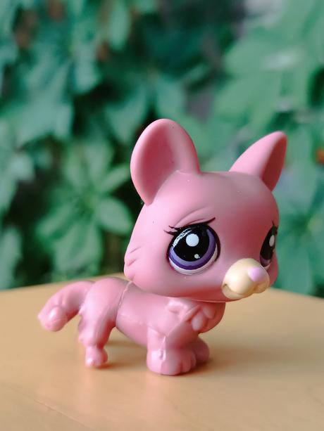 Lps pejsek + pelíšek + deka + kost,