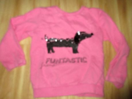 Mikina s pejskem, 128