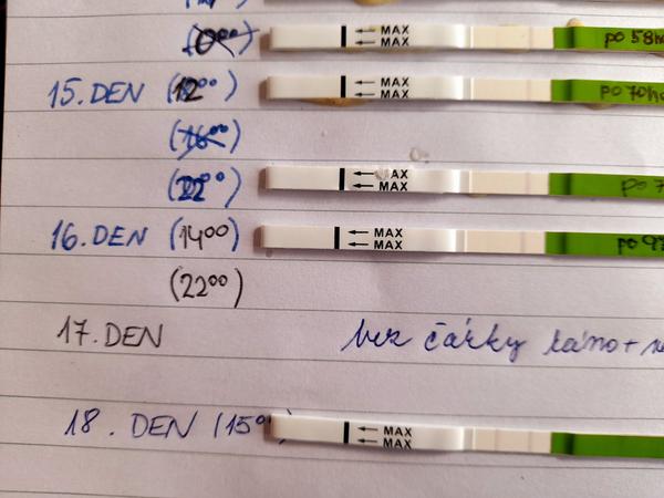 Je moje ovulace podle testu správně zaznamenána?